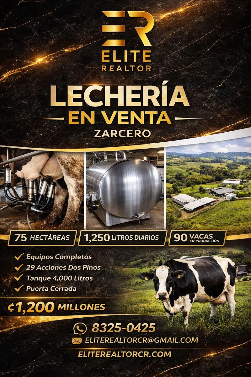 DAIRY FARM FOR SALE DOS PINOS – SANTA ELENA, ZARCERO, COSTA RICA