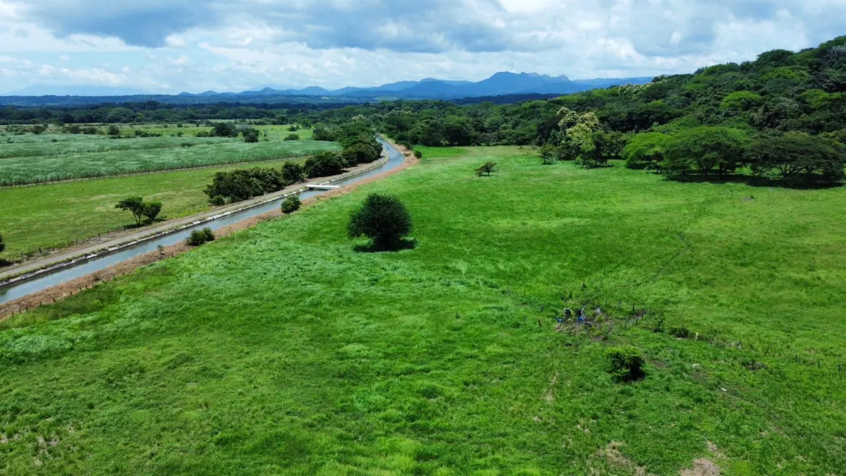 CATTLE FARM FOR SALE IN ABANGARES, LA PALMA – 20 HECTARES miniatura 2