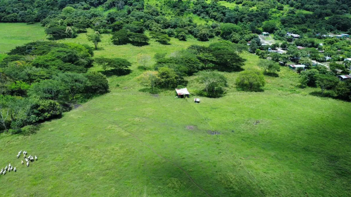 CATTLE FARM FOR SALE IN ABANGARES, LA PALMA – 20 HECTARES miniatura 3