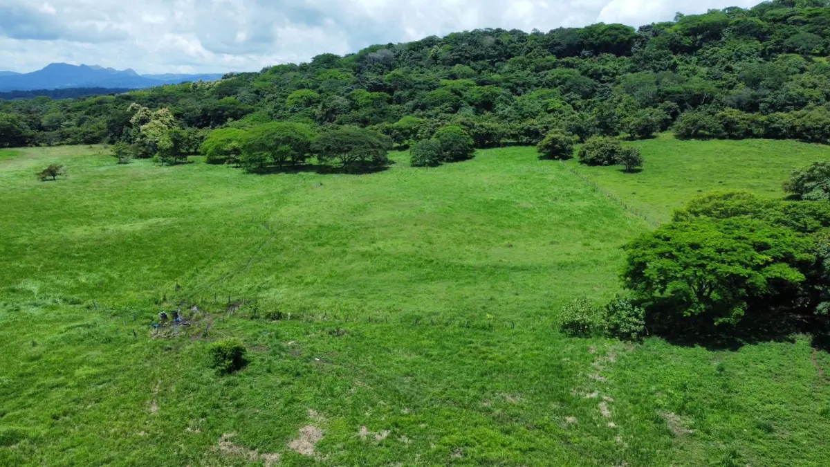 CATTLE FARM FOR SALE IN ABANGARES, LA PALMA – 20 HECTARES miniatura 4