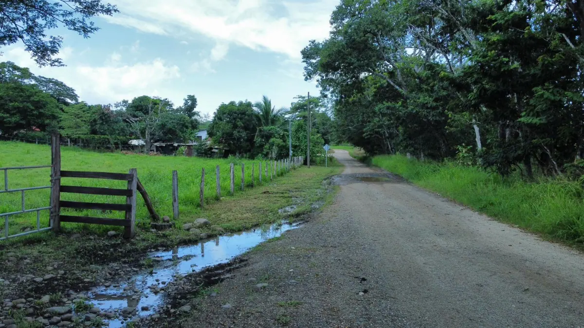 CATTLE FARM FOR SALE IN ABANGARES, LA PALMA – 20 HECTARES miniatura 6
