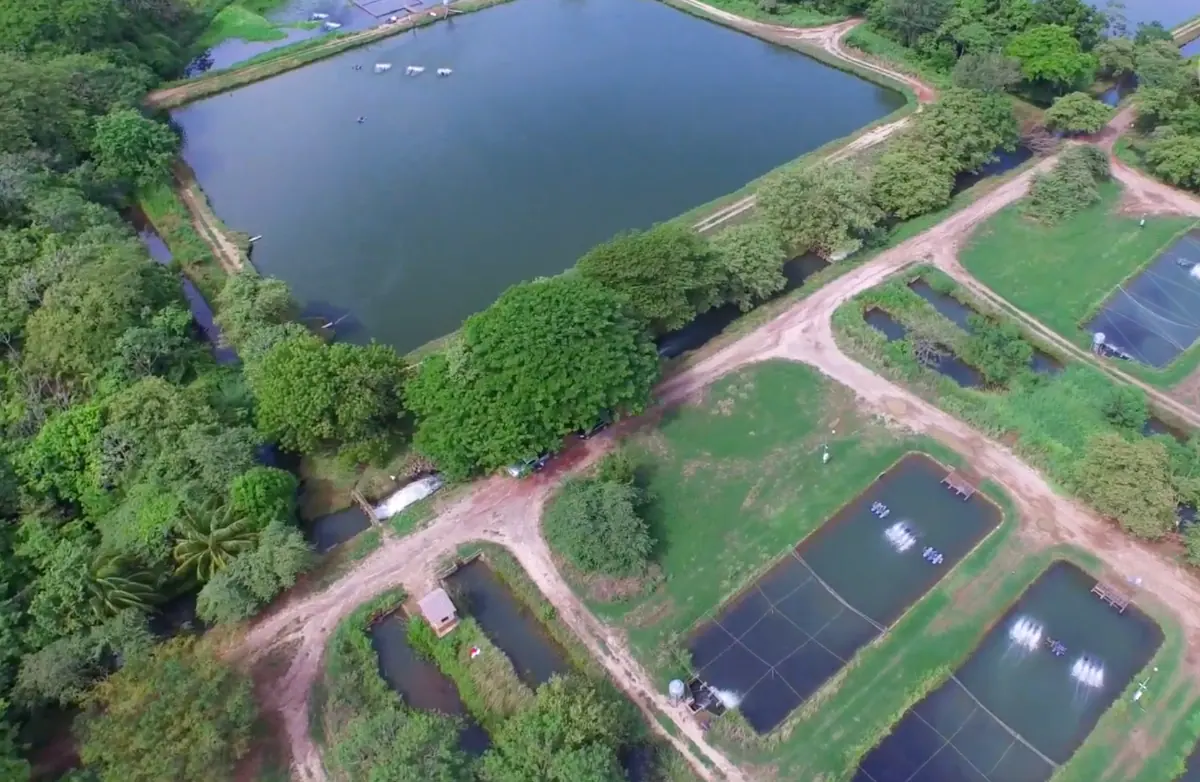 HACIENDA IN GUANACASTE, COSTA RICA – 2,630 HECTARES miniatura 3