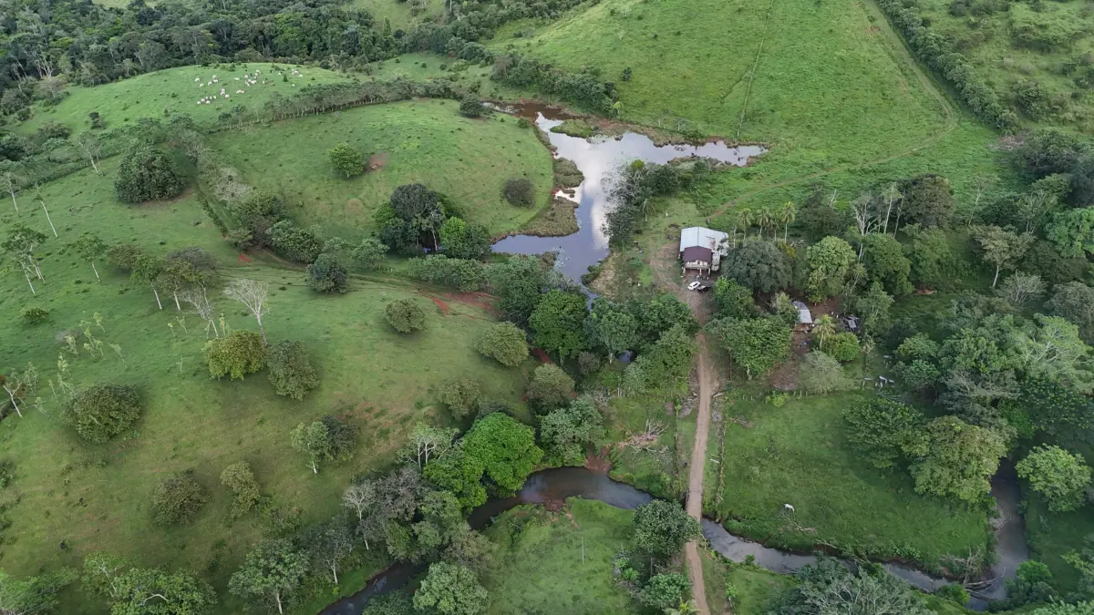Altamira Farm – Cattle & Agricultural Investment Opportunity in San Carlos Costa Rica miniatura 2
