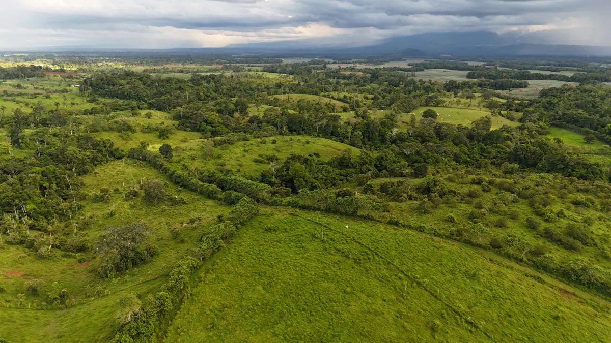 Altamira Farm – Cattle & Agricultural Investment Opportunity in San Carlos Costa Rica miniatura 3