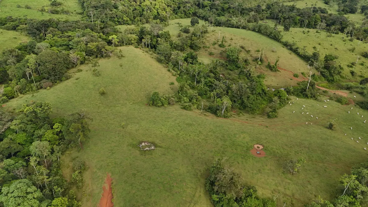 Altamira Farm – Cattle & Agricultural Investment Opportunity in San Carlos Costa Rica miniatura 5