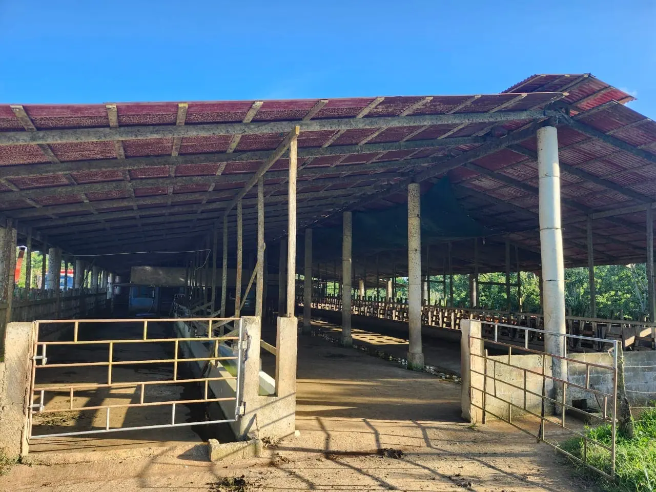 DAIRY FARM DOS PINOS- POCOSOL, SAN CARLOS, COSTA RICA. miniatura 4