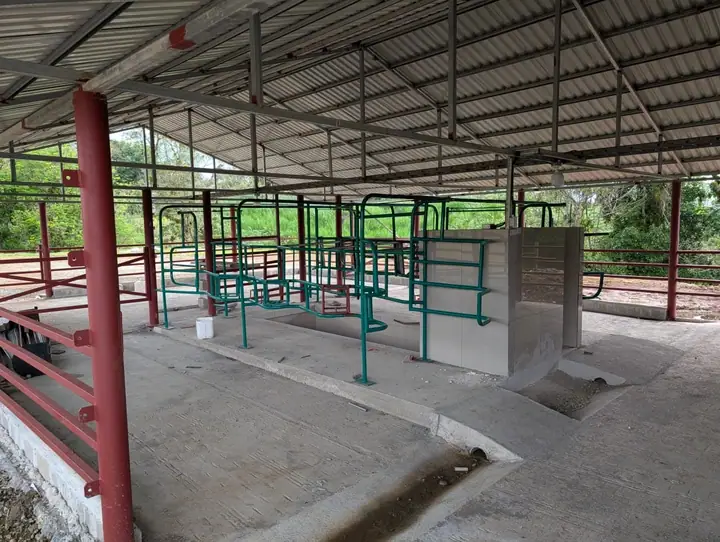 DAIRY FARM FOR SALE – RÍO CUARTO, COSTA RICA 7,5 HA