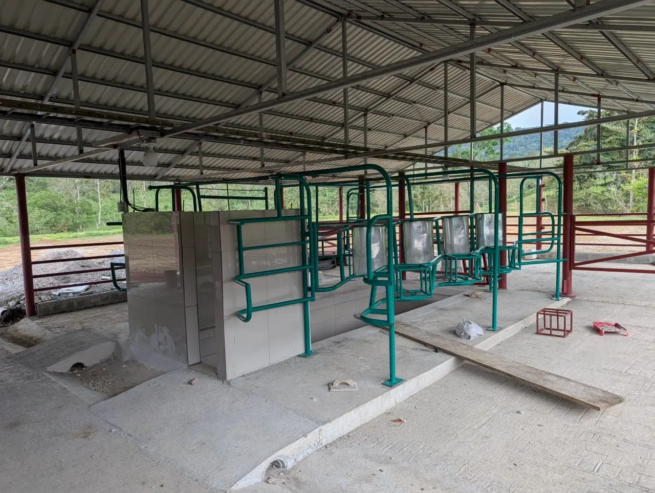 DAIRY FARM FOR SALE – RÍO CUARTO, COSTA RICA 7,5 HA miniatura 6
