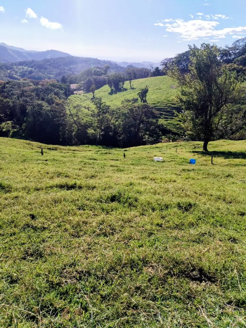 Farm for Sale Between Tilarán and Monteverde miniatura 3