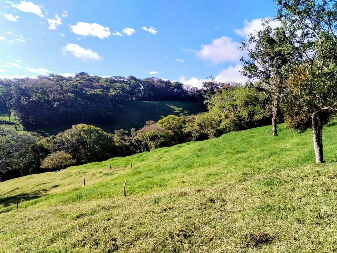 Farm for Sale Between Tilarán and Monteverde miniatura 4