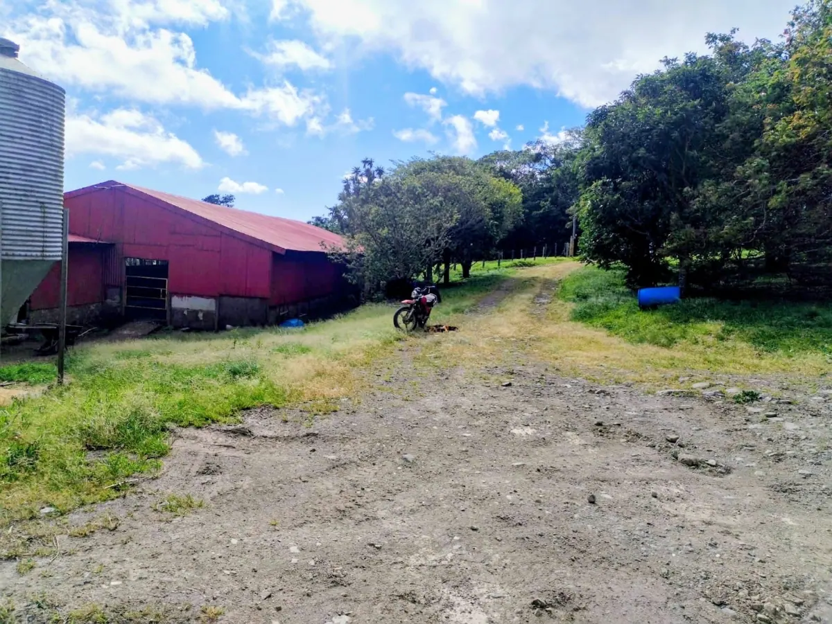 Farm for Sale Between Tilarán and Monteverde miniatura 5