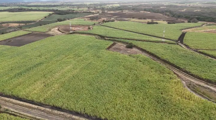Premium Agricultural Farm – Sugarcane & Transvala Grass Production