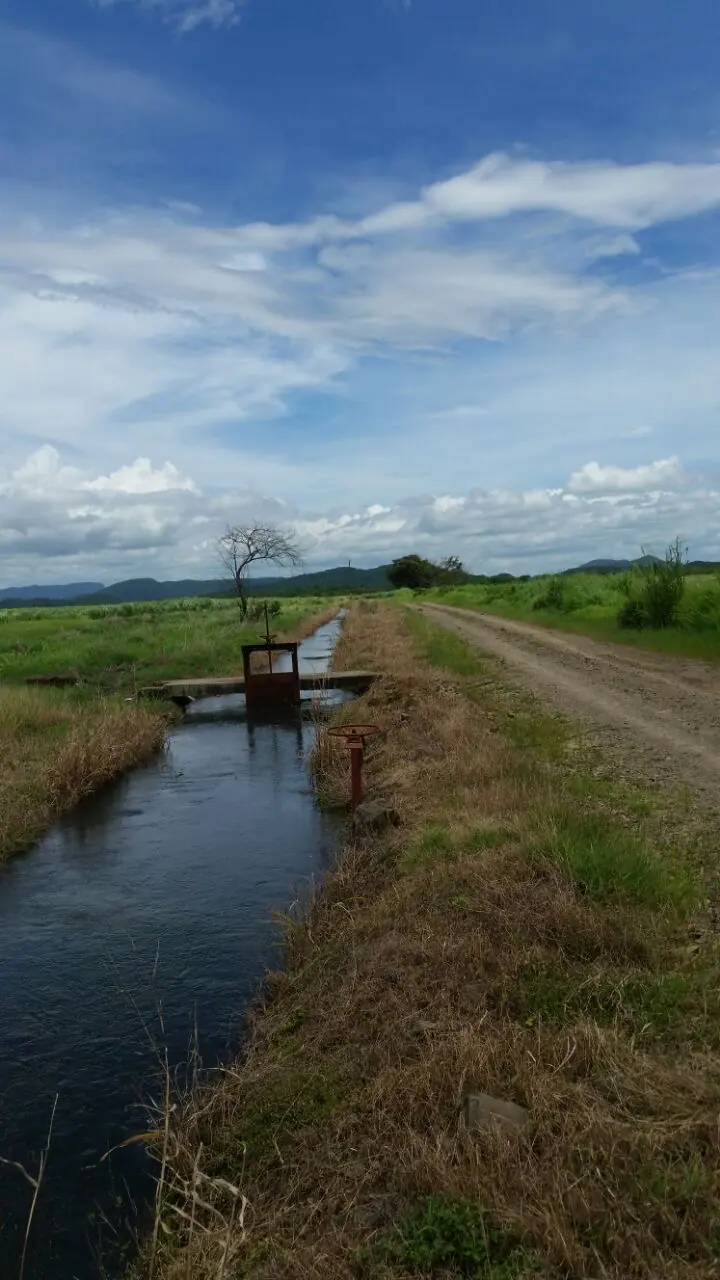 PARCELA 9,5 HA BAGACES