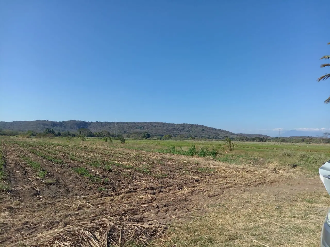 PARCELA 9,5 HA BAGACES miniatura 2