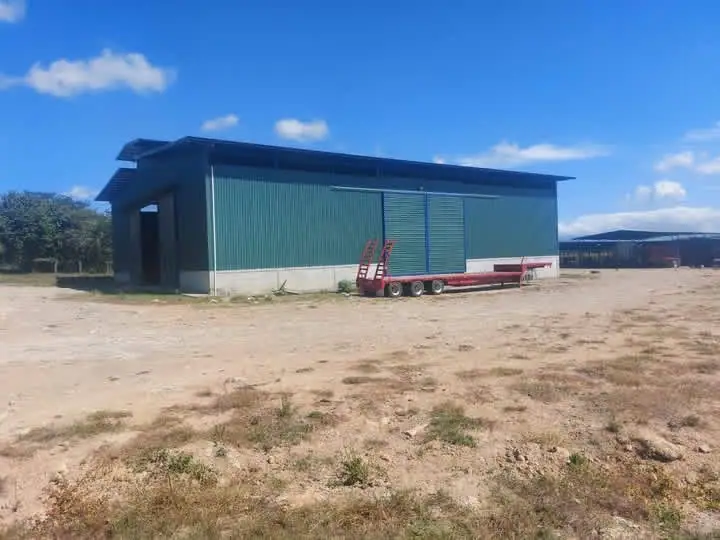 CATTLE FARM FOR SALE IN BAGACES – 377 ACRES. HAY PRODUCTION + CATTLE + MONTHLY INCOME