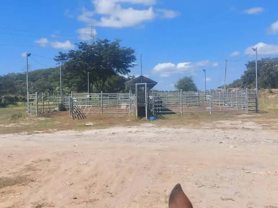 CATTLE FARM FOR SALE IN BAGACES – 377 ACRES. HAY PRODUCTION + CATTLE + MONTHLY INCOME miniatura 2