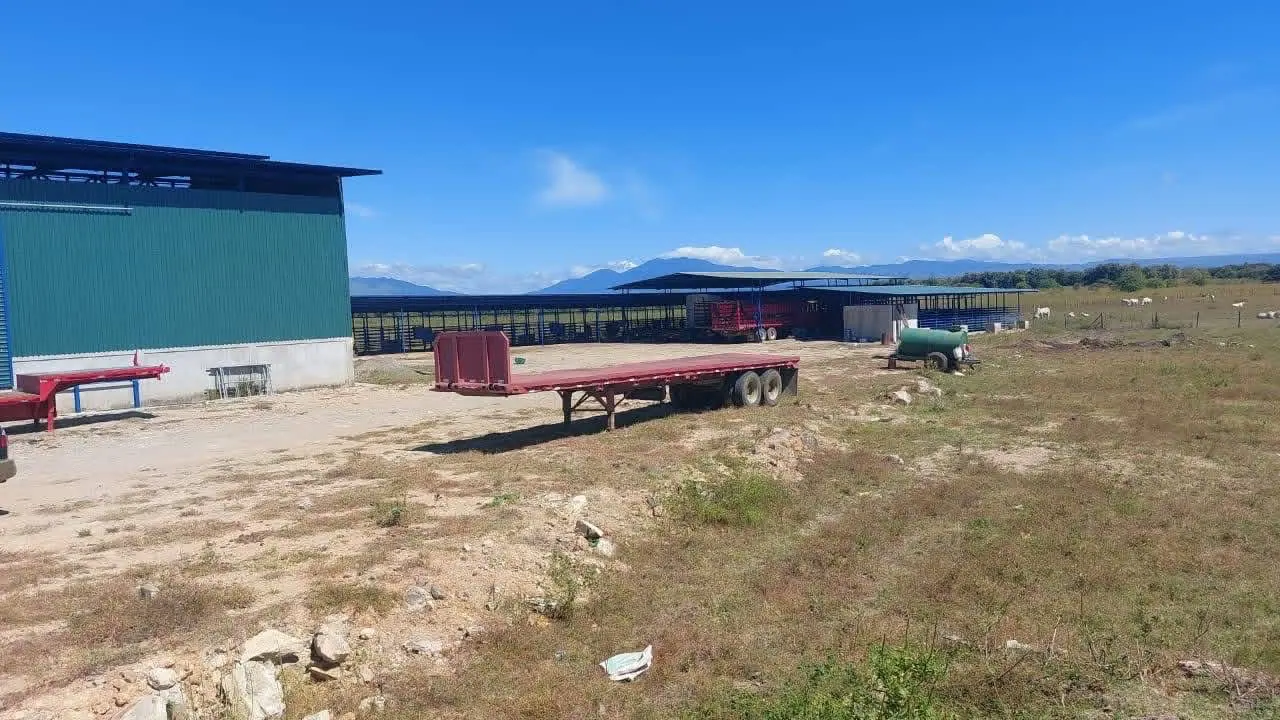 CATTLE FARM FOR SALE IN BAGACES – 377 ACRES. HAY PRODUCTION + CATTLE + MONTHLY INCOME miniatura 6