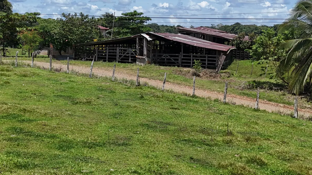 Hacienda La Gloria – Foreclosure Opportunity miniatura 6