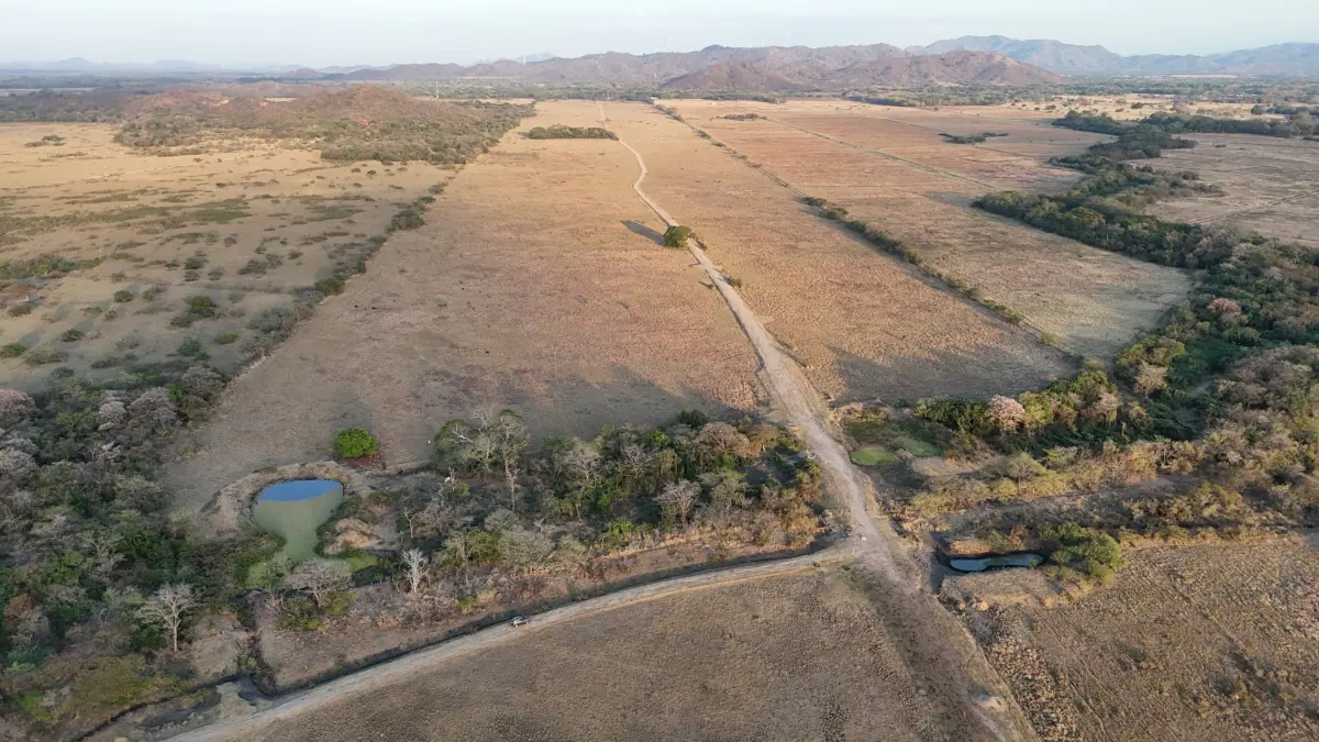 Prime Investment Farm in Santa Cruz – 220 Hectares miniatura 3